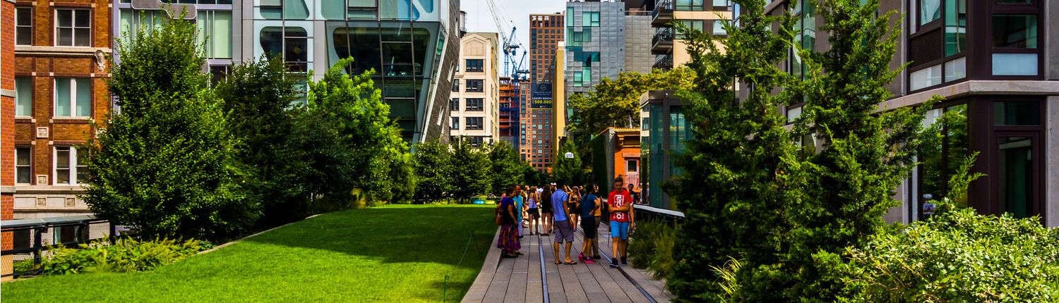 High Line in NYC