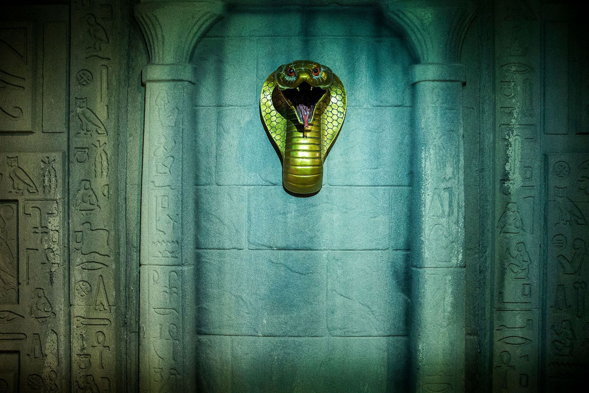 A golden cobra statue with its hood expanded, mounted on a wall engraved with ancient hieroglyphs.