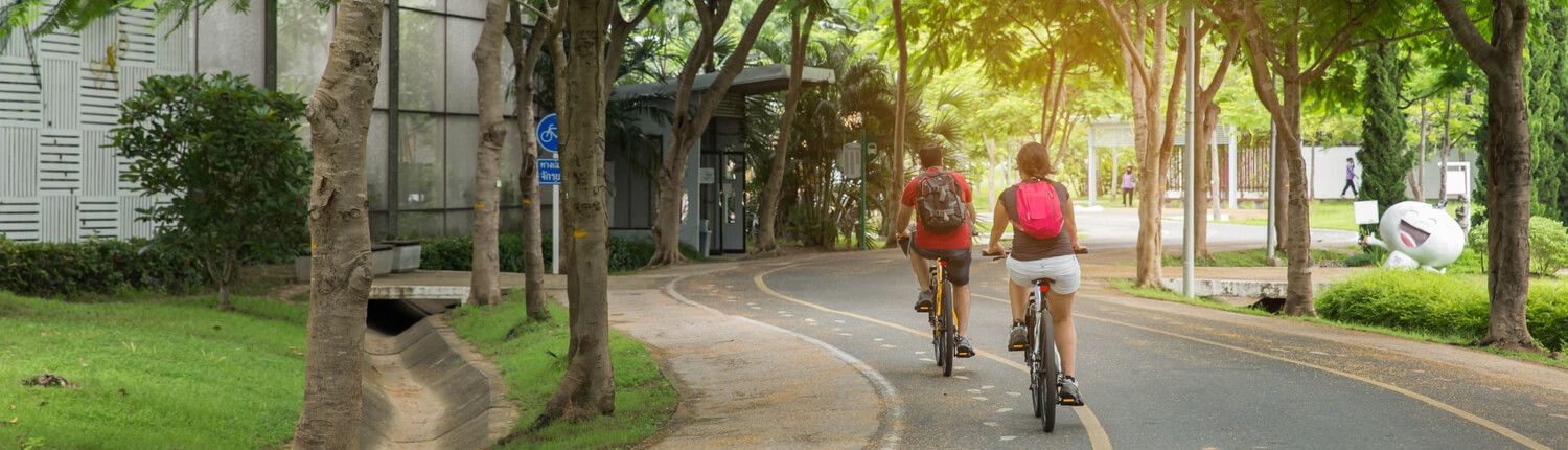 bike trail