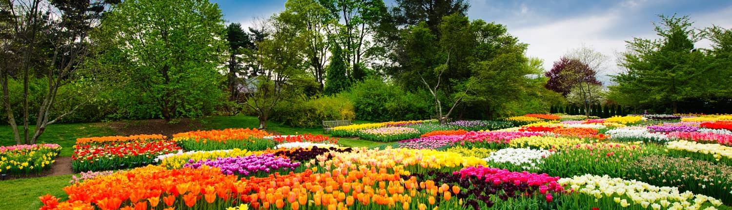 Longwood Gardens