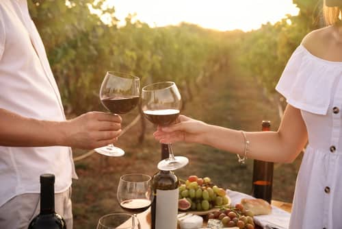 a couple toasting wine