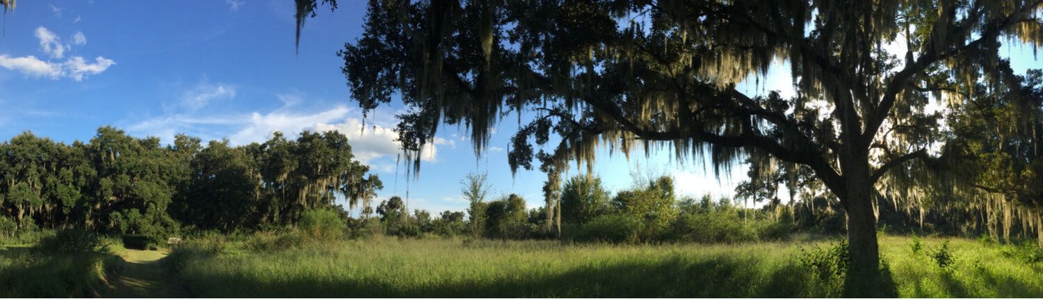 West Orange Trail