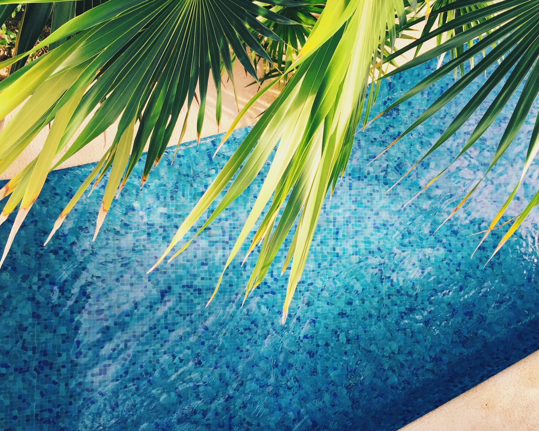 Fun Places To Go This Summer In Jacksonville