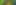 putt putt golf club and balls