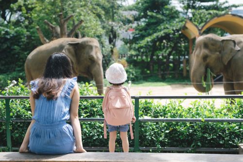 family at a zoo