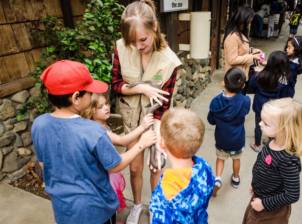 Zoo Overnight Program