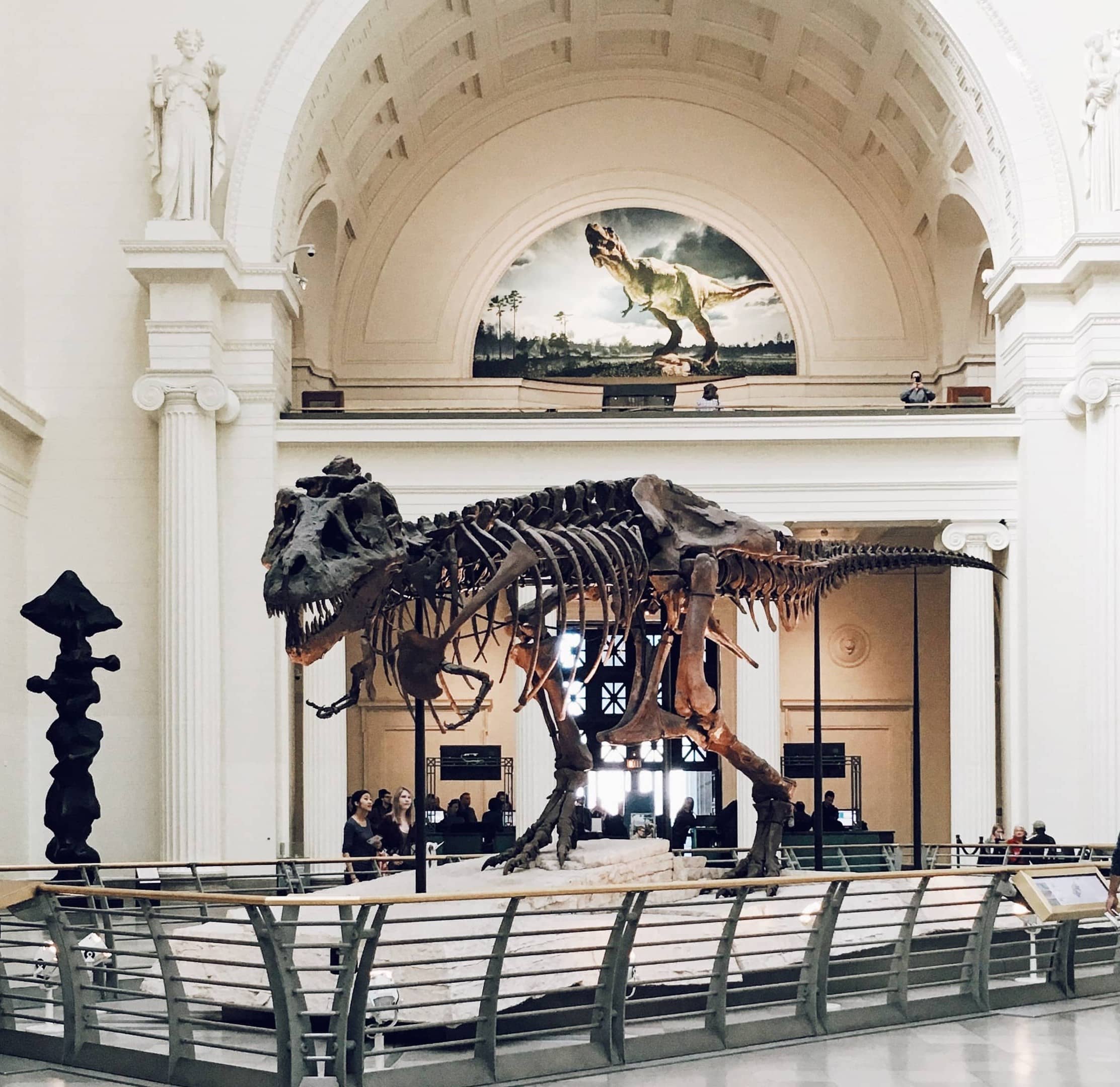 T Rex at the Field Museum