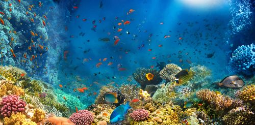 an aquarium