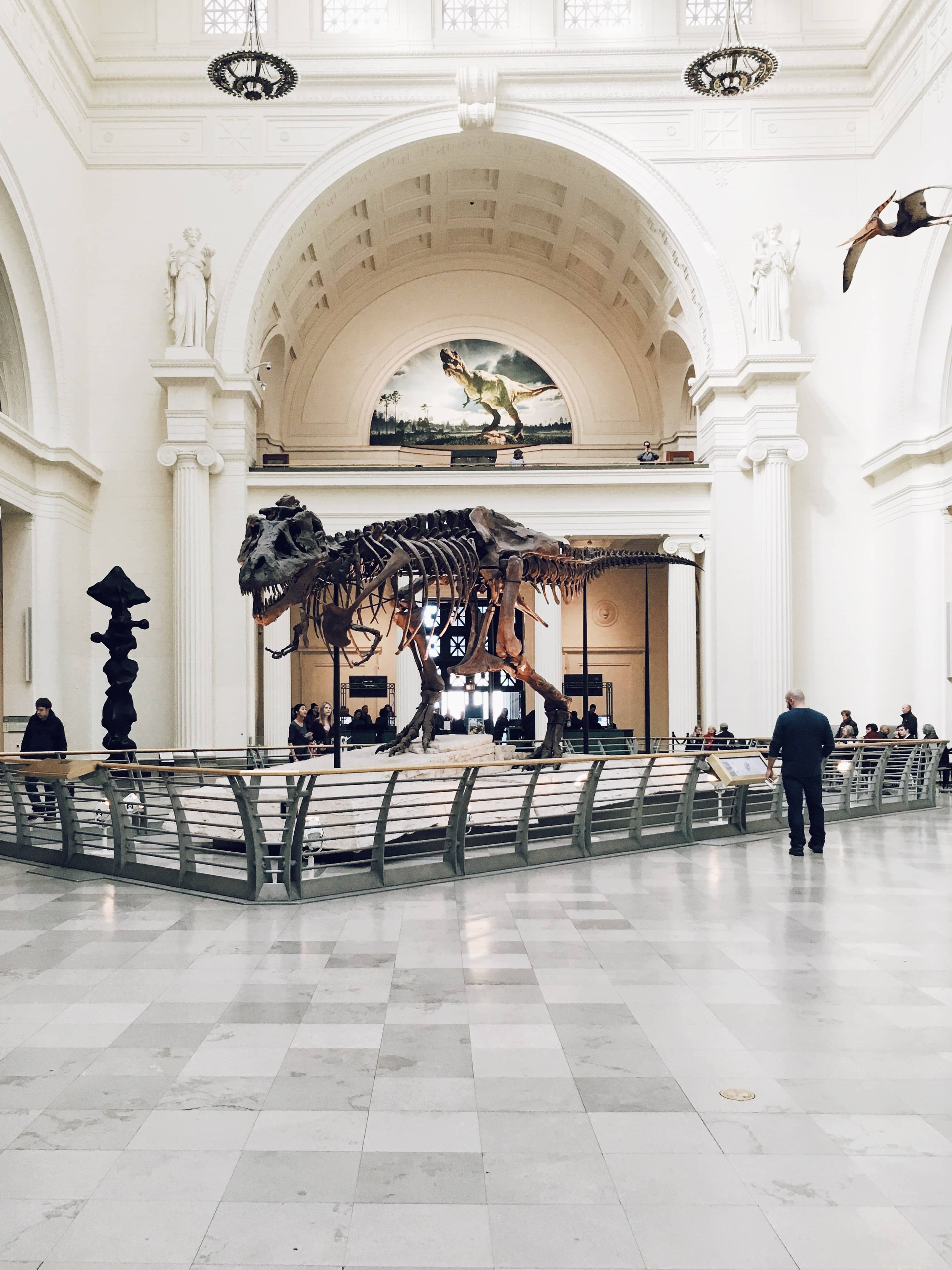 Field Museum
