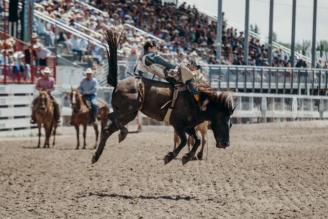 a rodeo