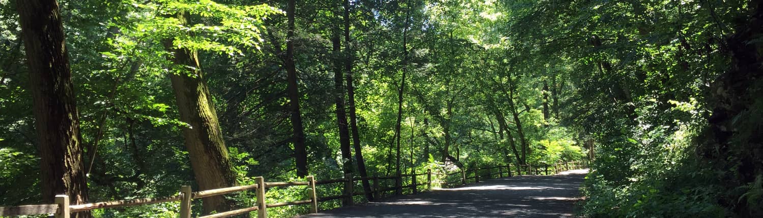 Wissahickon Valley Park