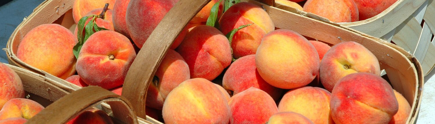 basket of peaches