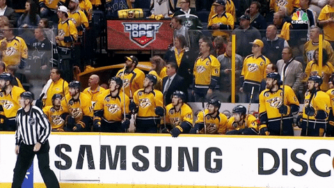 Nashville Predators