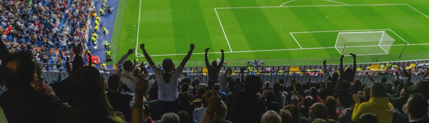 crowd cheering on soccer game