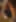 Close-up of a wooden elephant sculpture partially obscured by a blurred decorative object in the foreground.